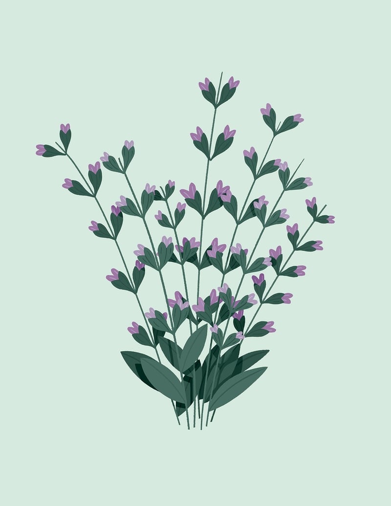 Plant Illustrations